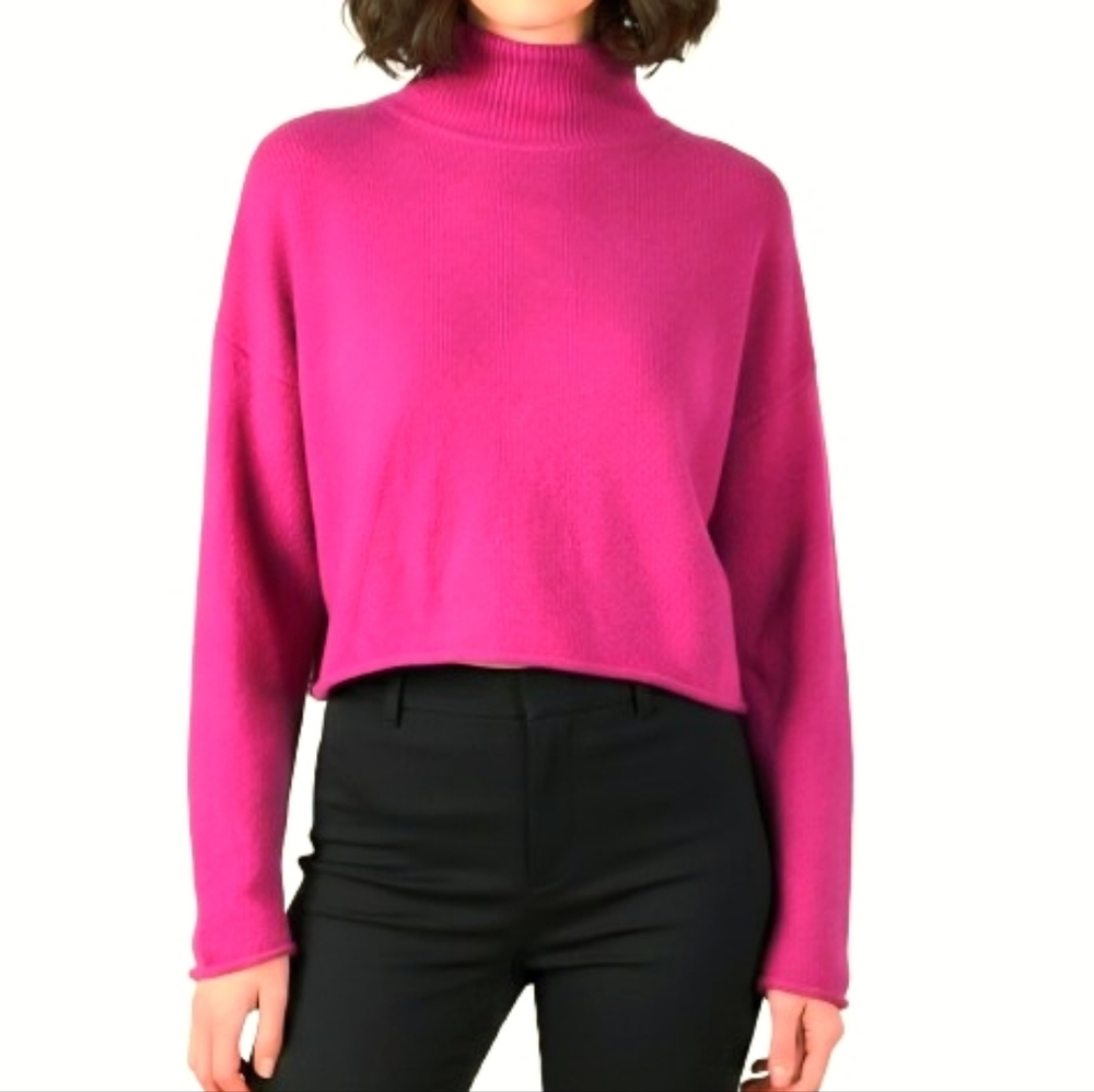 Aritzia THE GROUP BABATON Luxe Boxy Cropped Mock Neck Cashmere Sweater